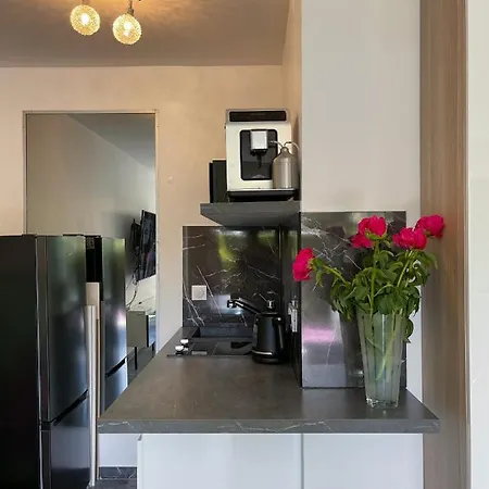 Croisette Pearl Apartmán Cannes